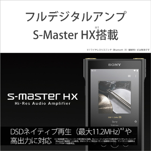 SONY デジタルオーディオプレーヤー(128GB) Walkman NW-WM1AM2-イメージ10