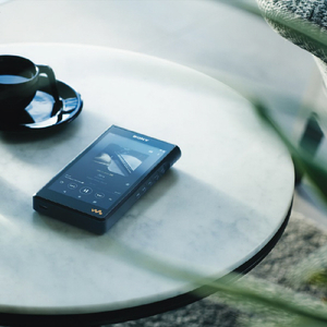 SONY デジタルオーディオプレーヤー(128GB) Walkman NW-WM1AM2-イメージ2