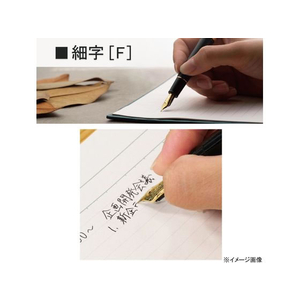 セーラー万年筆 万年筆 プロフィット スタンダード21 マルン F 細字 FCR5576-111521232-イメージ3