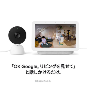 Google 防犯カメラ 屋内用 Google Nest Cam snow GA01998-JP-イメージ10