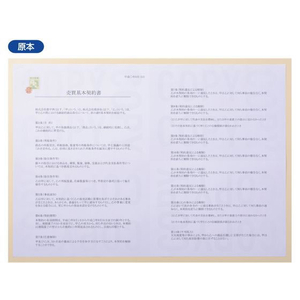 ヒサゴ コピー偽造予防用紙 浮き文字タイプ/600枚 FC262PB-BP2111Z-イメージ3