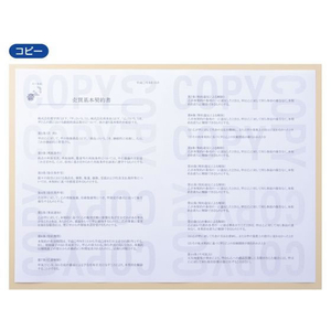 ヒサゴ コピー偽造予防用紙 浮き文字タイプ/600枚 FC262PB-BP2111Z-イメージ4