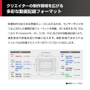 パナソニック デジタル一眼カメラ・レンズキット LUMIX DC-S5M2XK-イメージ2