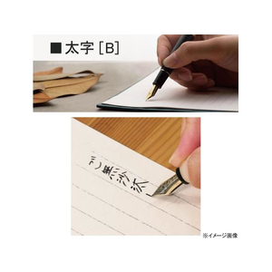 セーラー万年筆 万年筆 プロフィット スタンダード21 マルン B 太字 FCR5582-111521632-イメージ3