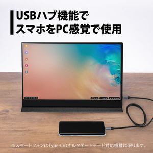 プリンストン 15．6型モバイル液晶ディスプレイ ブラック PTF-M156T-イメージ5