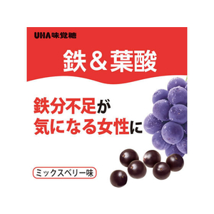 UHA味覚糖 UHAグミサプリ 鉄&葉酸 20日分 40粒 F047755-イメージ2