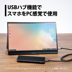 プリンストン 13．3型モバイル液晶ディスプレイ ブラック PTF-M133T-イメージ5