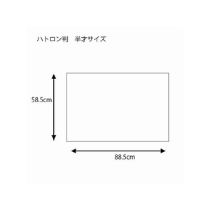 ヘイコー 包装紙 ハトロン判 半才 ハーブリーフ G 50枚 FC337SC-002400521-イメージ2