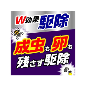 アース製薬 クモの巣消滅ジェット 450mL 2本パック F048561-イメージ4