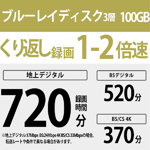 SONY 録画用100GB 3層 2倍速 BD-RE XL書換え型 ブルーレイディスク 1枚入り BNE3VEPJ2-イメージ2