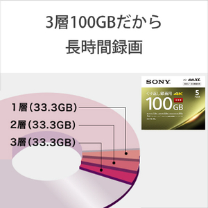 SONY 録画用100GB 3層 2倍速 BD-RE XL書換え型 ブルーレイディスク 10枚入り 10BNE3VEPS2-イメージ8